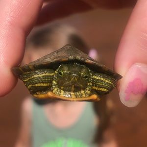 Meet your Posher, Samara